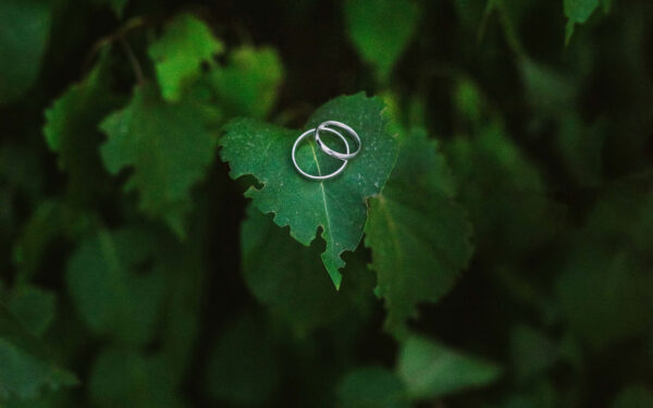 Two wedding rings